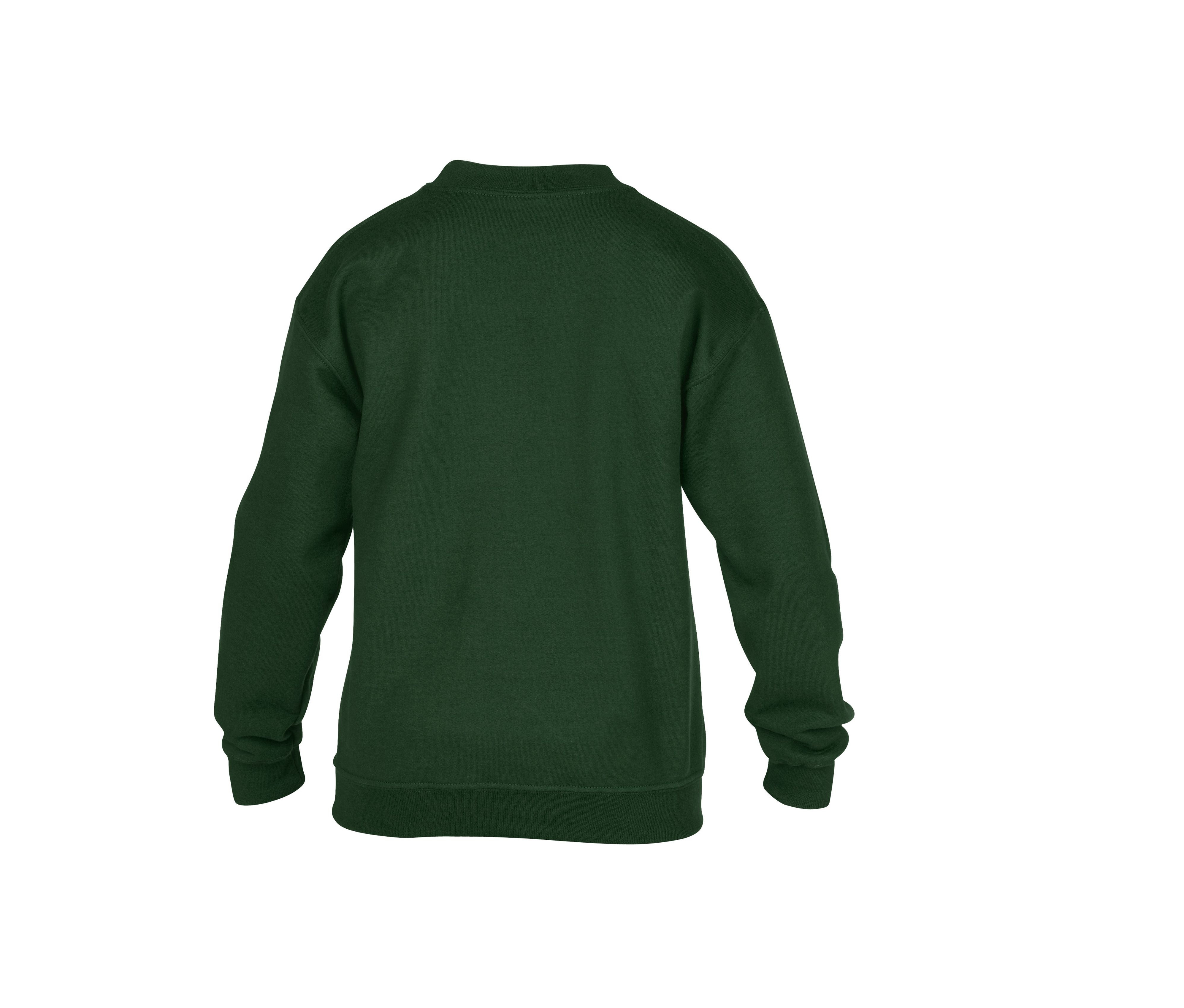 YOUTH CREWNECK SWEATSHIRT