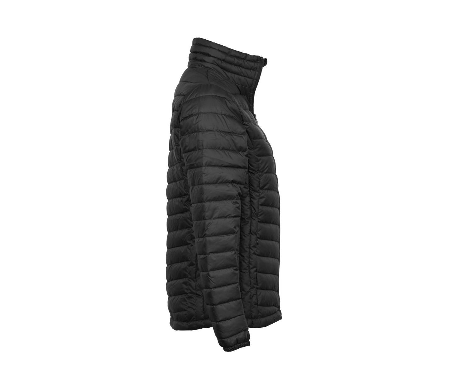 WOMEN'S ZEPELIN JACKET
