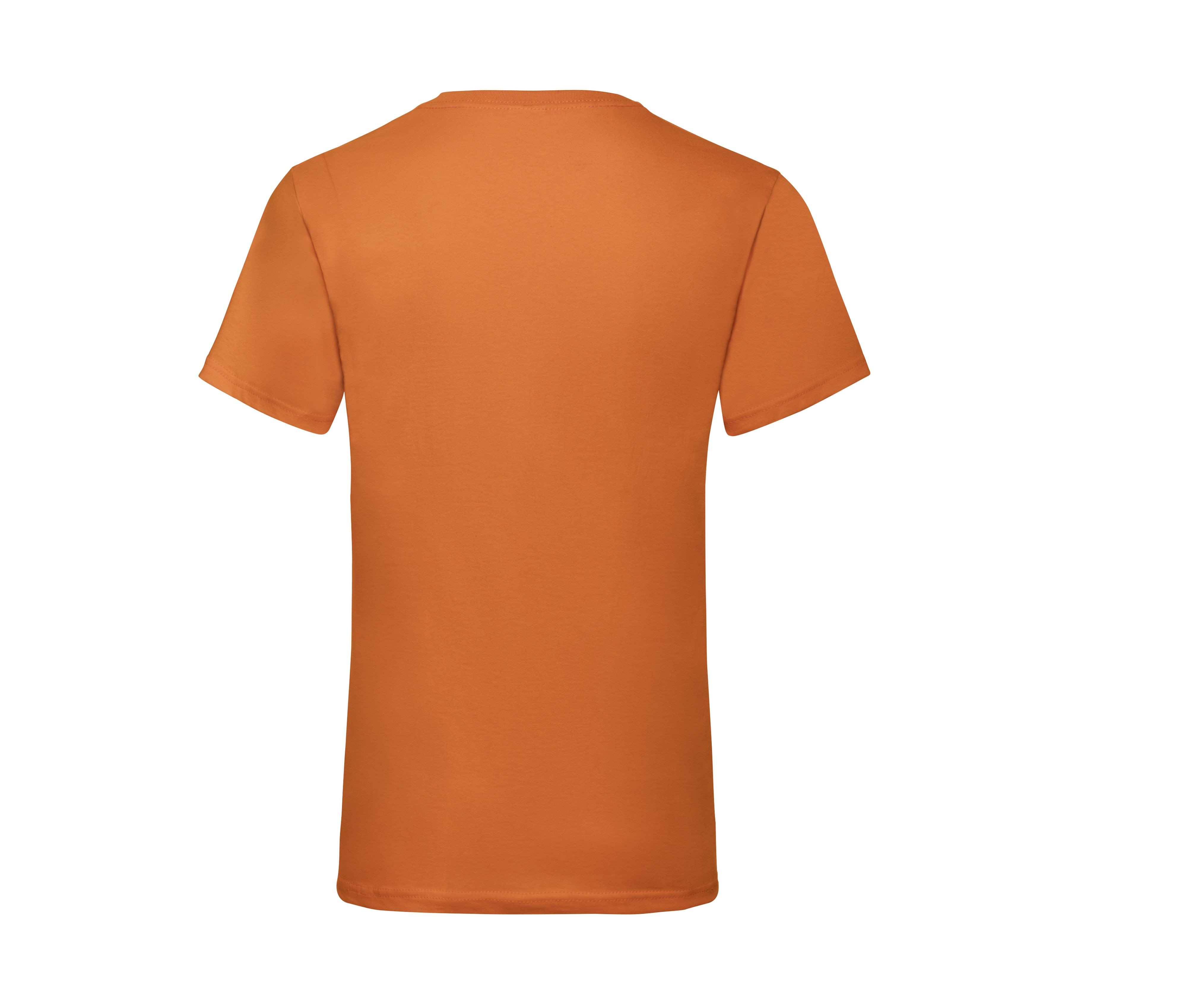 VALUEWEIGHT V-NECK T