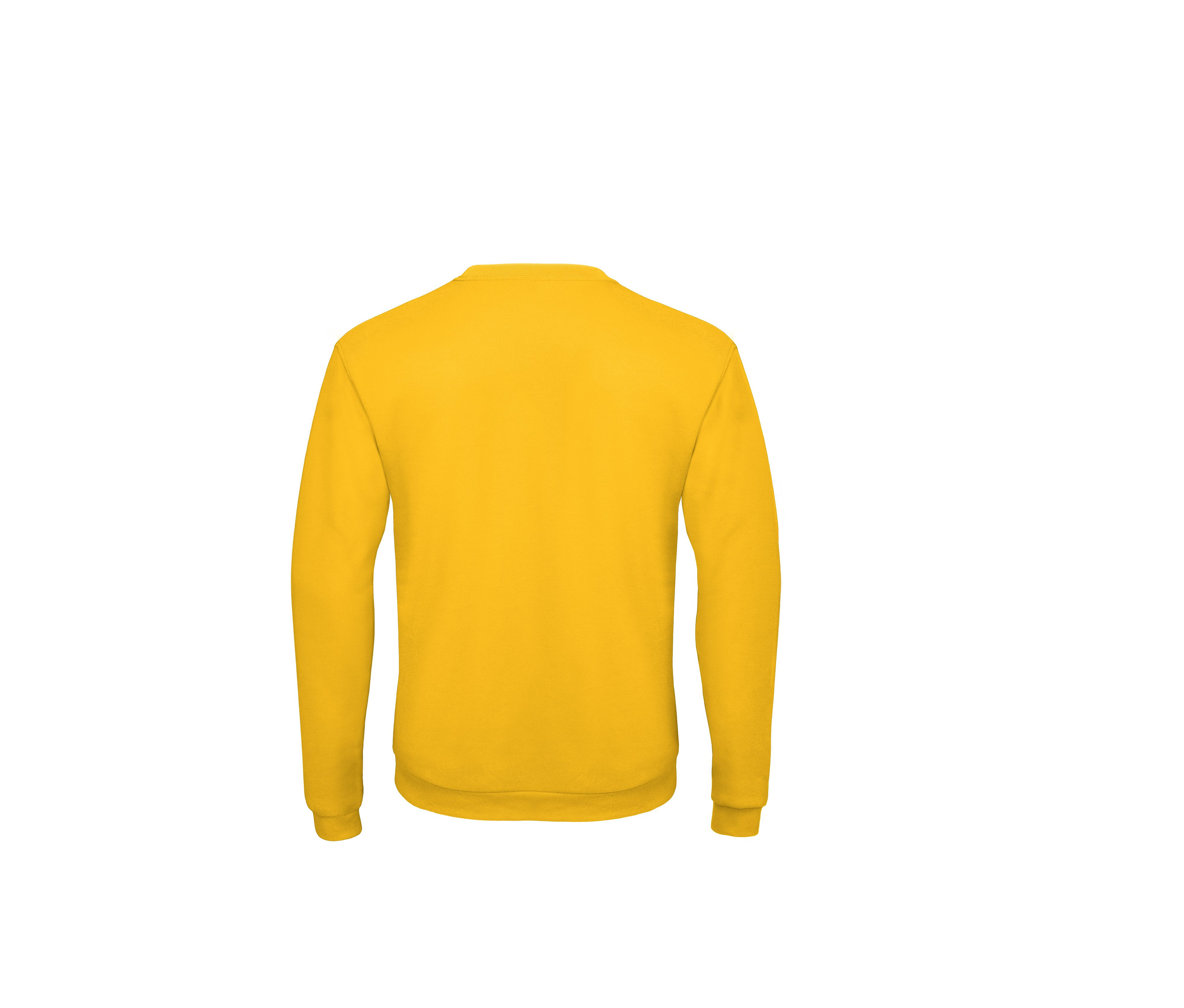 SET IN SWEATSHIRT ID202 50/50