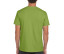 SOFTSTYLE ADULT T-SHIRT