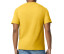 SOFTSTYLE® MIDWEIGHT ADULT T-SHIRT