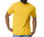 SOFTSTYLE® MIDWEIGHT ADULT T-SHIRT