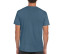 SOFTSTYLE ADULT T-SHIRT