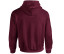 HEAVY BLEND ADULT HOODED SWEATSHIRT
