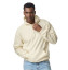 SOFTSTYLE MIDWEIGHT FLEECE ADULT HOODIE